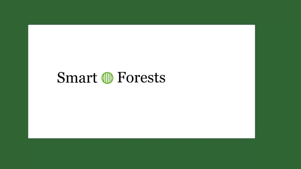 iplantforest news noticias midia forestbot mahogany roraima 4234
